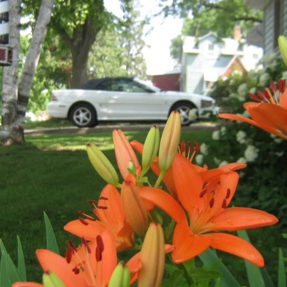 Meet your Posher, Sondra